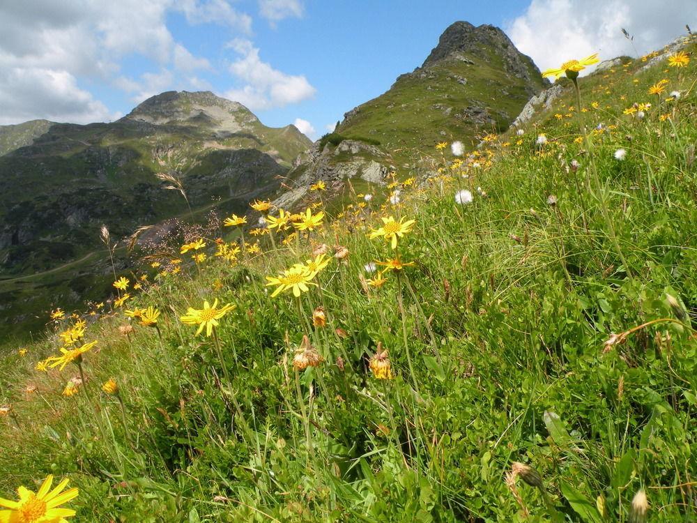 Premium Wanderhotel Steirerhof Schladming Εξωτερικό φωτογραφία