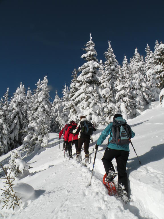 Premium Wanderhotel Steirerhof Schladming Εξωτερικό φωτογραφία